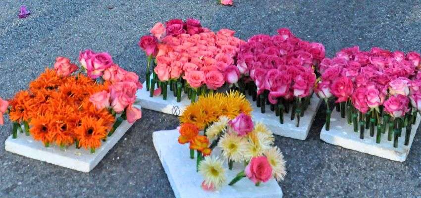 the rose parade in los angeles ca